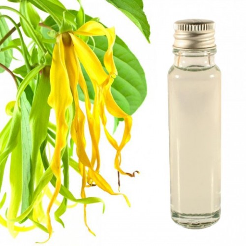 Huile essentielle ylang ylang